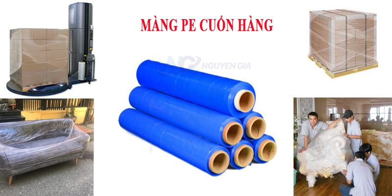 mang-pe-mau-xanh